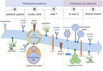 Origin and Pathways of Dissolved Organic Carbon in a Small Catchment in the Lena River Delta